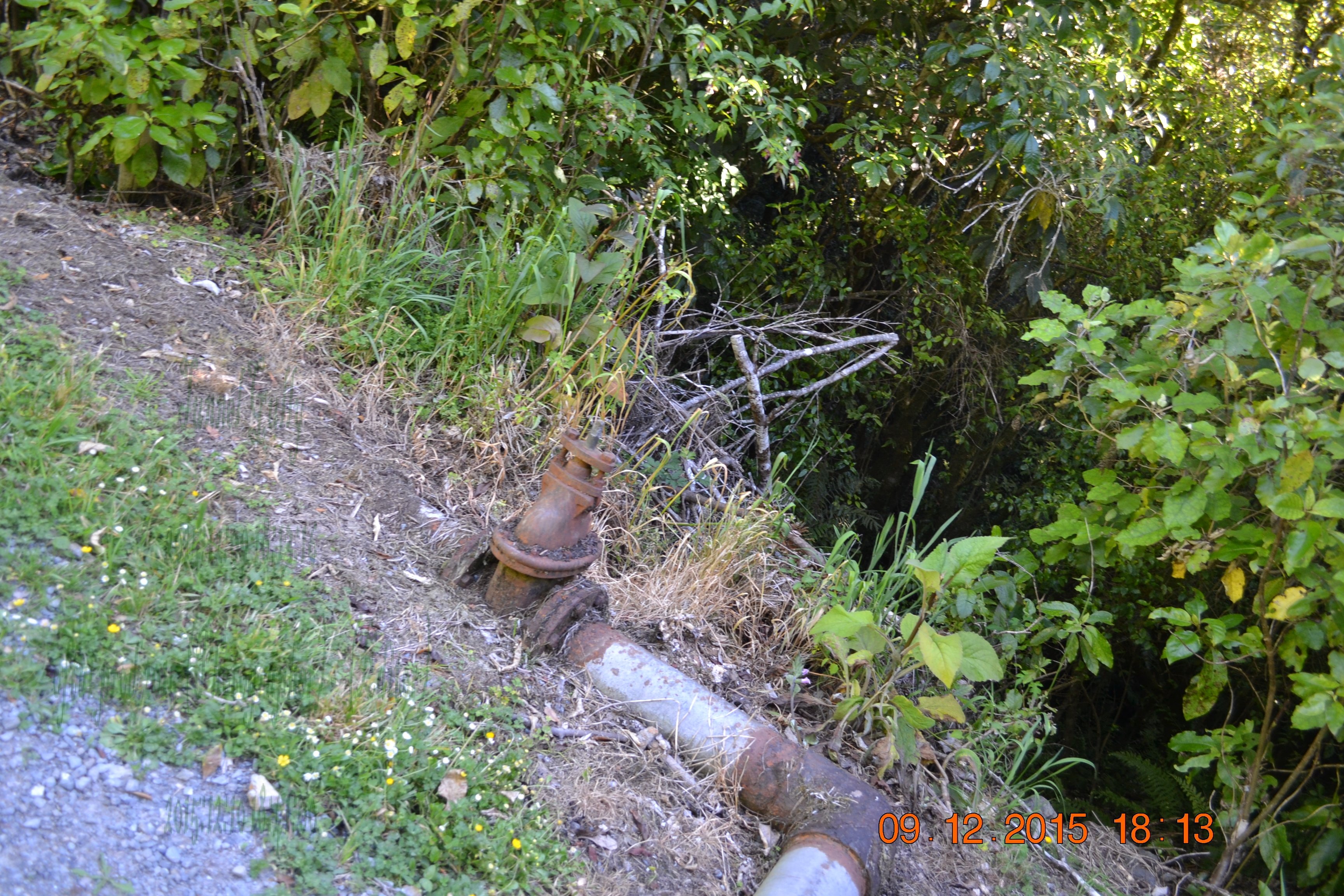 tunnelgully2015dec_165_wm.jpg