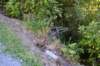 tunnelgully2015dec_166_wm_small.jpg