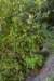 tunnelgully2015dec_167_wm_small.jpg