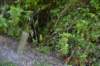 tunnelgully2015dec_169_wm_small.jpg