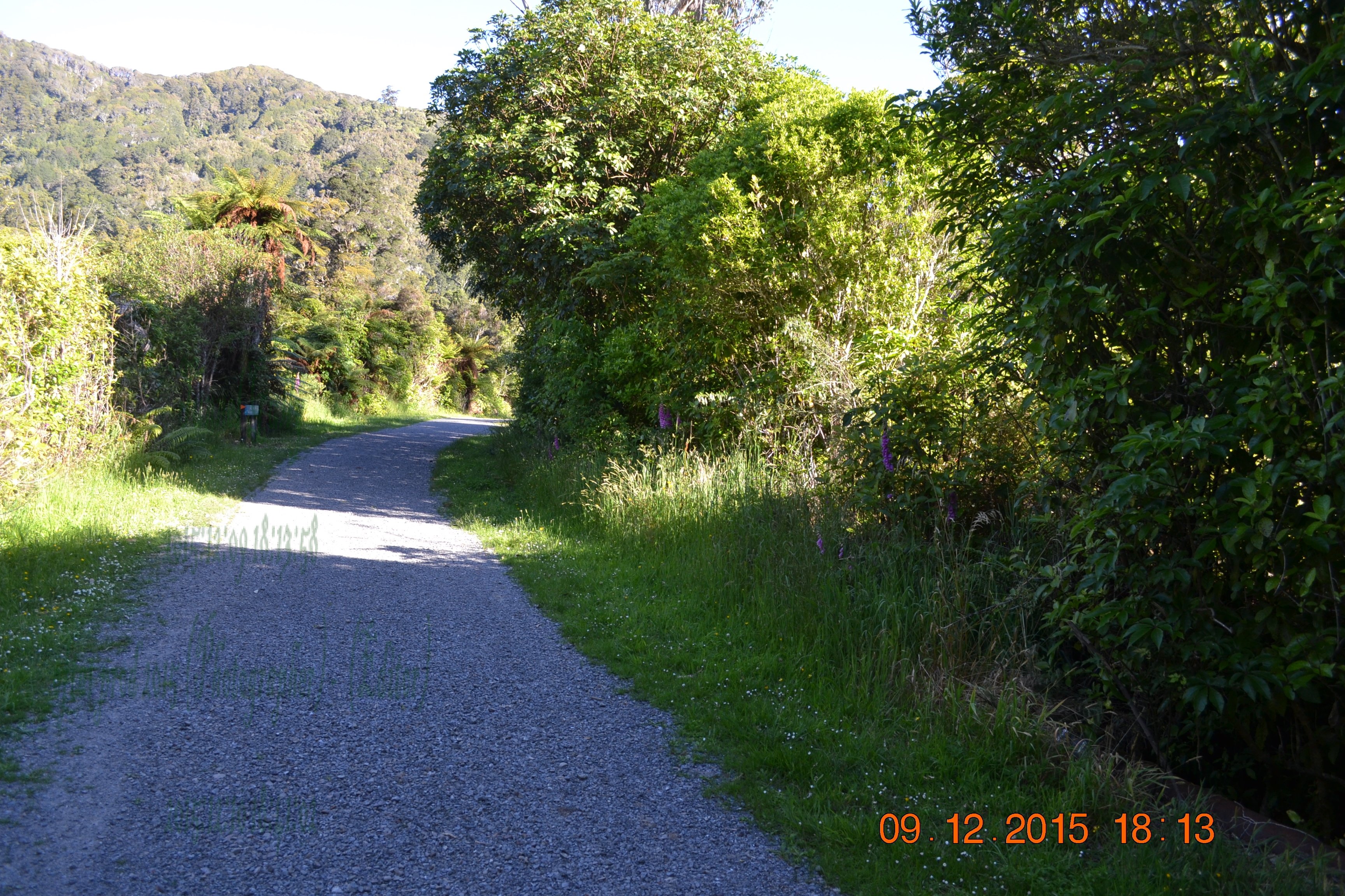 tunnelgully2015dec_172_wm.jpg