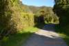 tunnelgully2015dec_173_wm_small.jpg