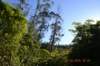 tunnelgully2015dec_174_wm_small.jpg