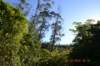 tunnelgully2015dec_175_wm_small.jpg