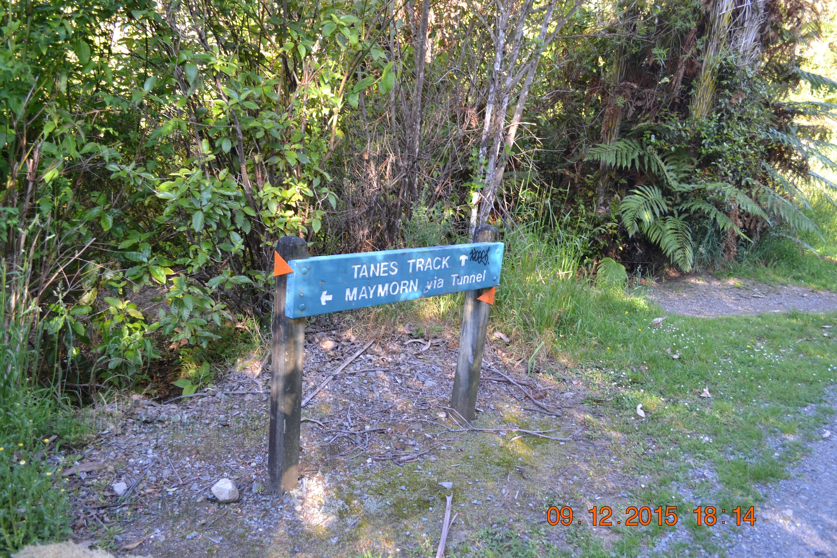 tunnelgully2015dec_176_wm.jpg