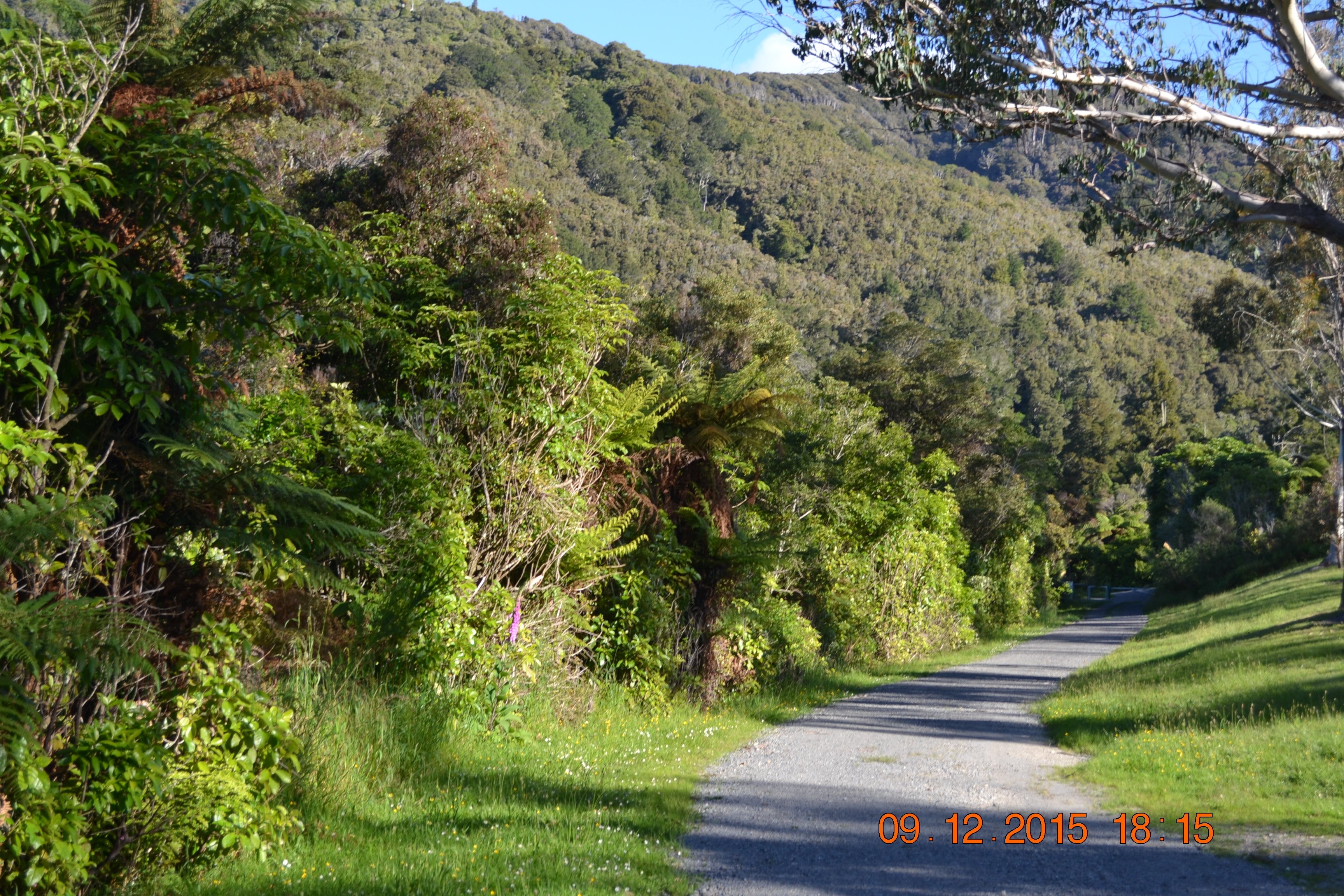 tunnelgully2015dec_179_wm.jpg