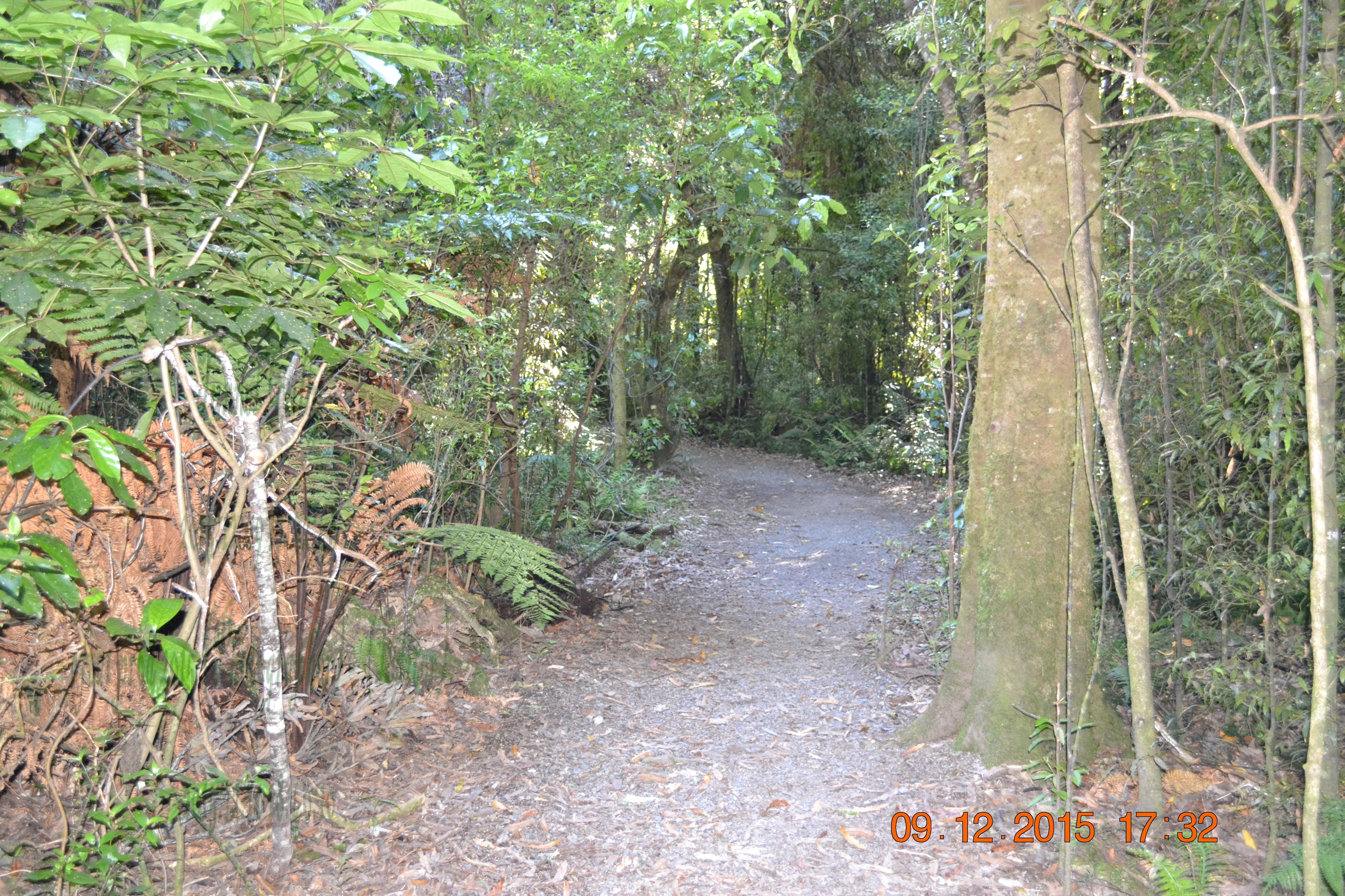 tunnelgully2015dec_17_wm.jpg
