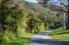 tunnelgully2015dec_180_wm_small.jpg