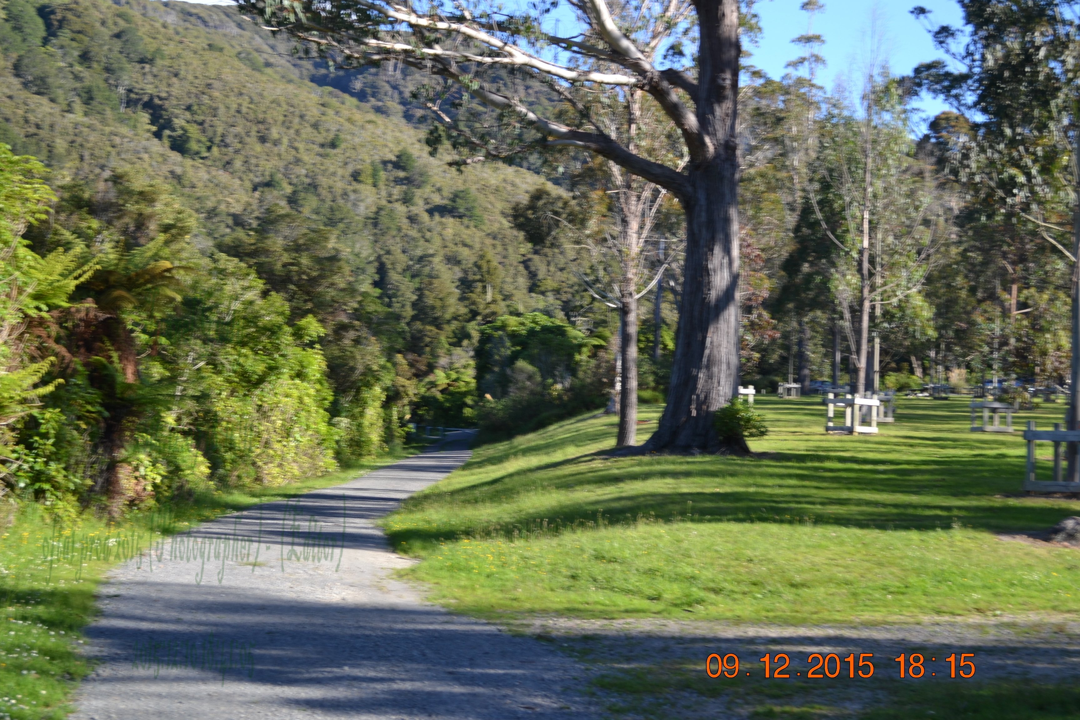tunnelgully2015dec_182_wm.jpg