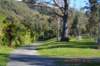 tunnelgully2015dec_182_wm_small.jpg
