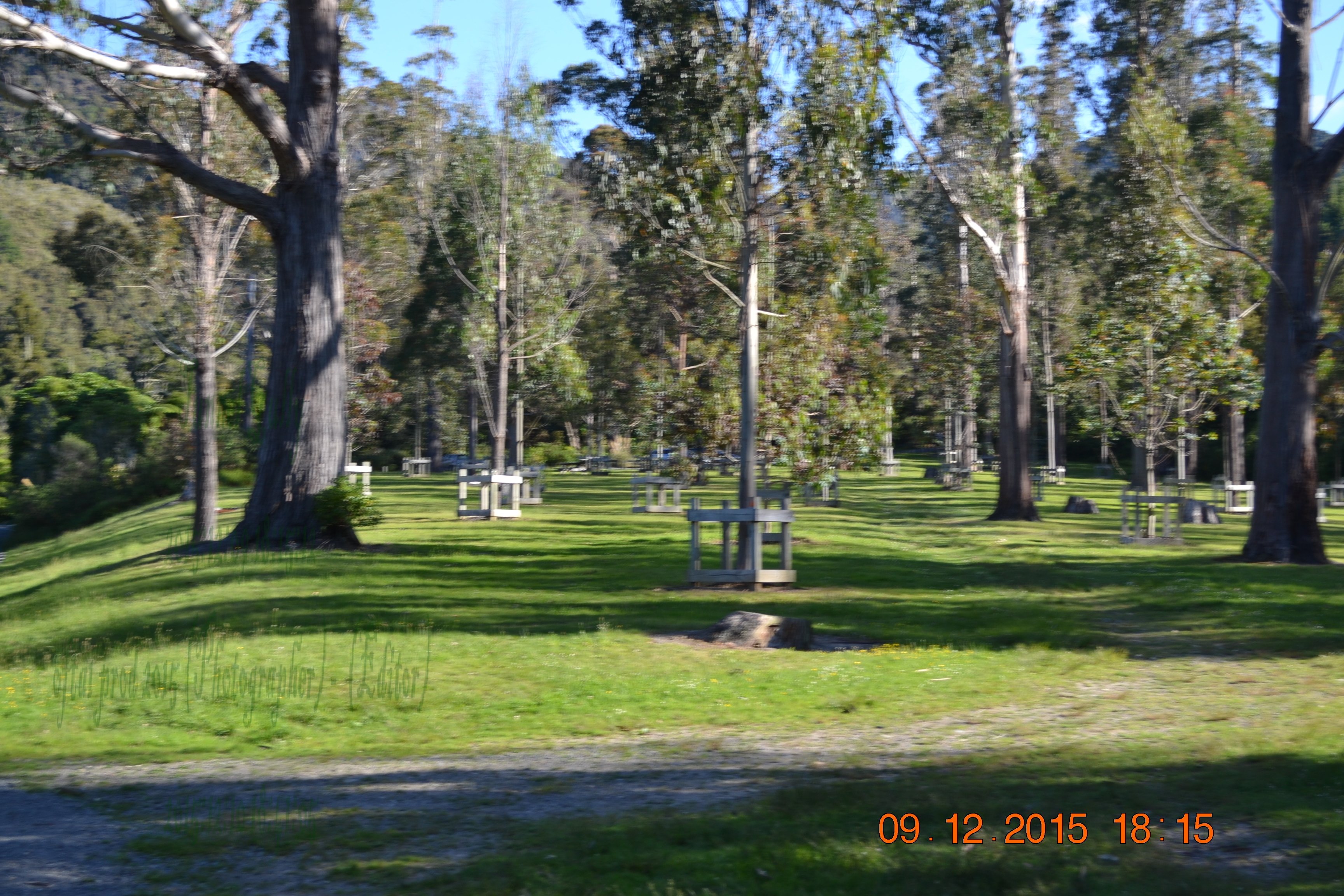tunnelgully2015dec_185_wm.jpg