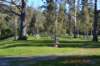 tunnelgully2015dec_185_wm_small.jpg