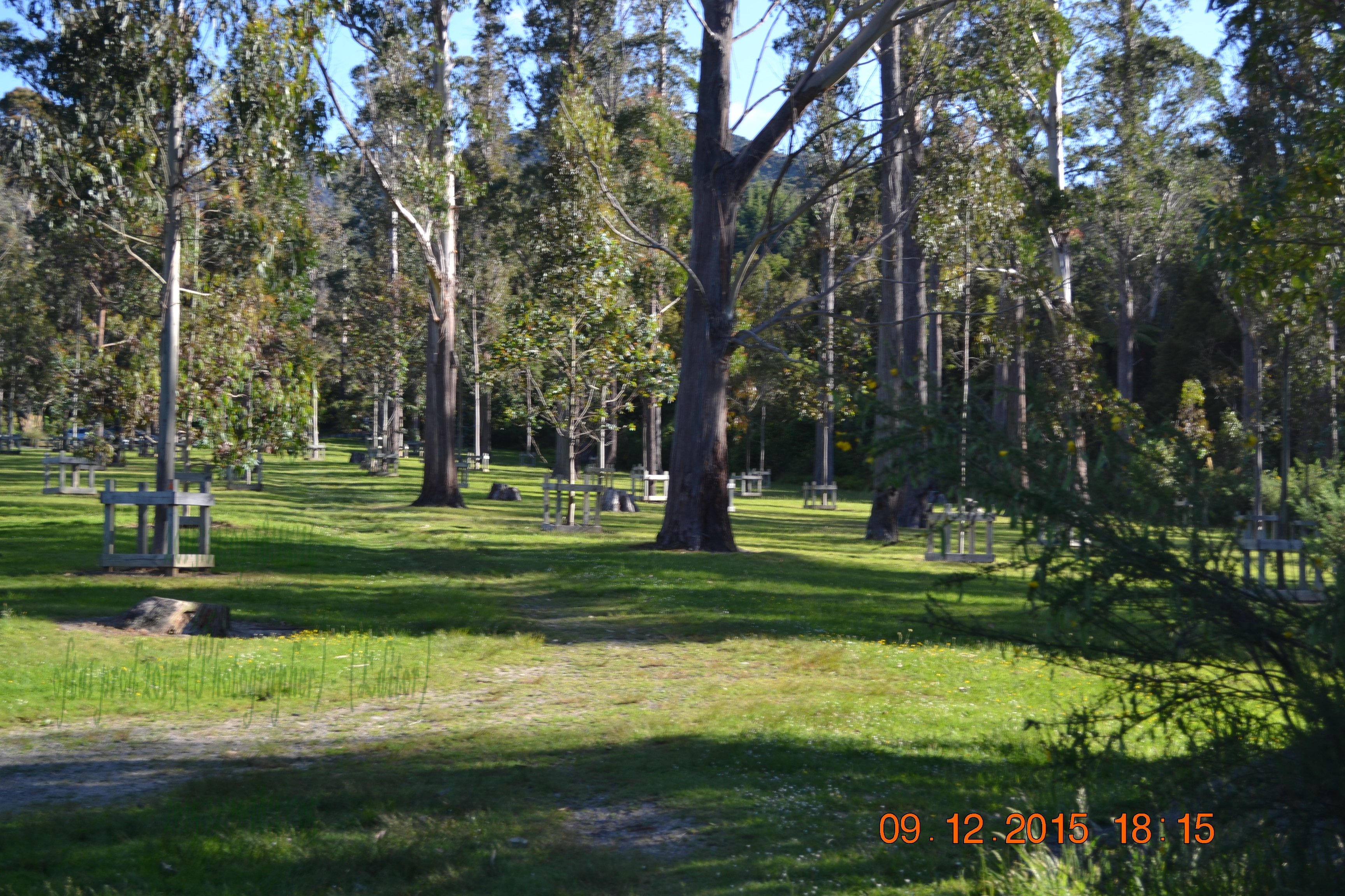 tunnelgully2015dec_188_wm.jpg