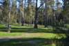 tunnelgully2015dec_188_wm_small.jpg
