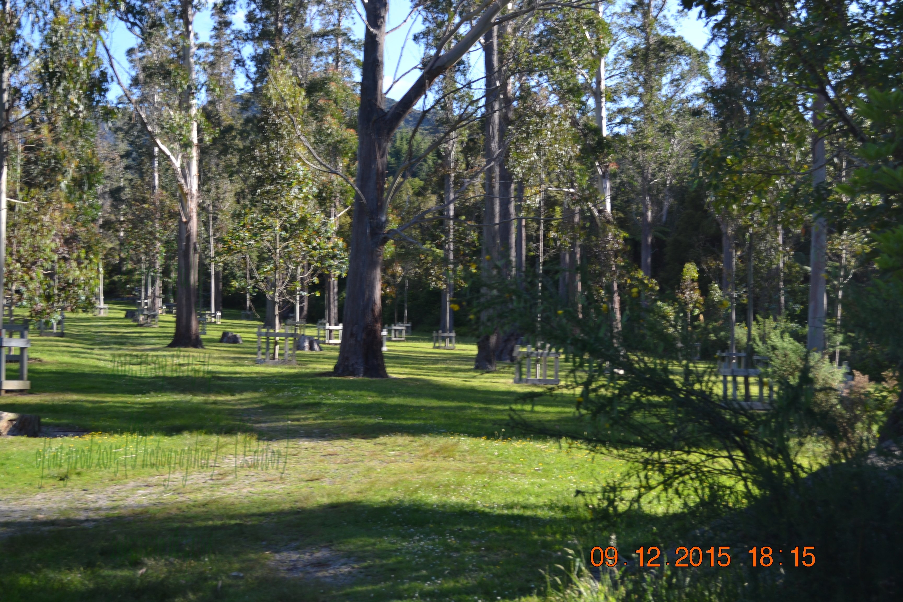 tunnelgully2015dec_189_wm.jpg