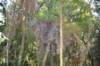 tunnelgully2015dec_18_wm_small.jpg