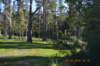 tunnelgully2015dec_190_wm_small.jpg