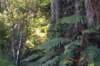 tunnelgully2015dec_196_wm_small.jpg