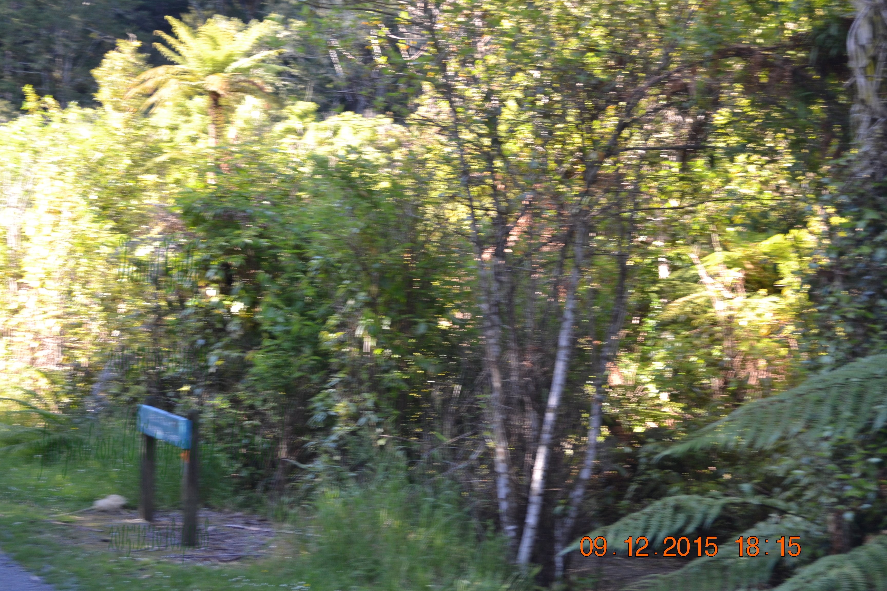 tunnelgully2015dec_197_wm.jpg