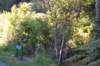 tunnelgully2015dec_197_wm_small.jpg