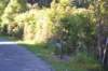 tunnelgully2015dec_198_wm_small.jpg