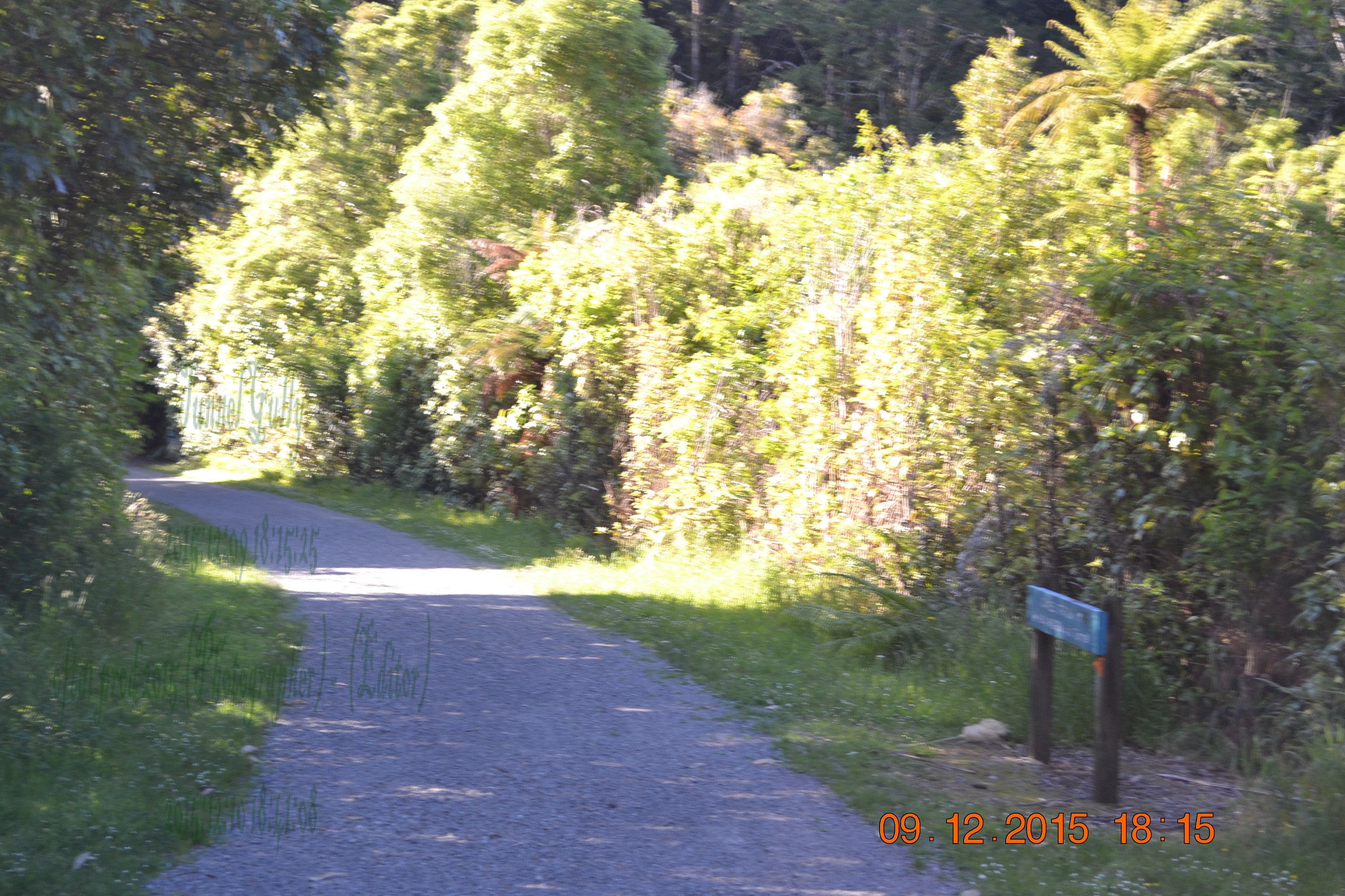 tunnelgully2015dec_199_wm.jpg