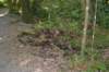 tunnelgully2015dec_19_wm_small.jpg