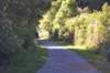 tunnelgully2015dec_200_wm_small.jpg