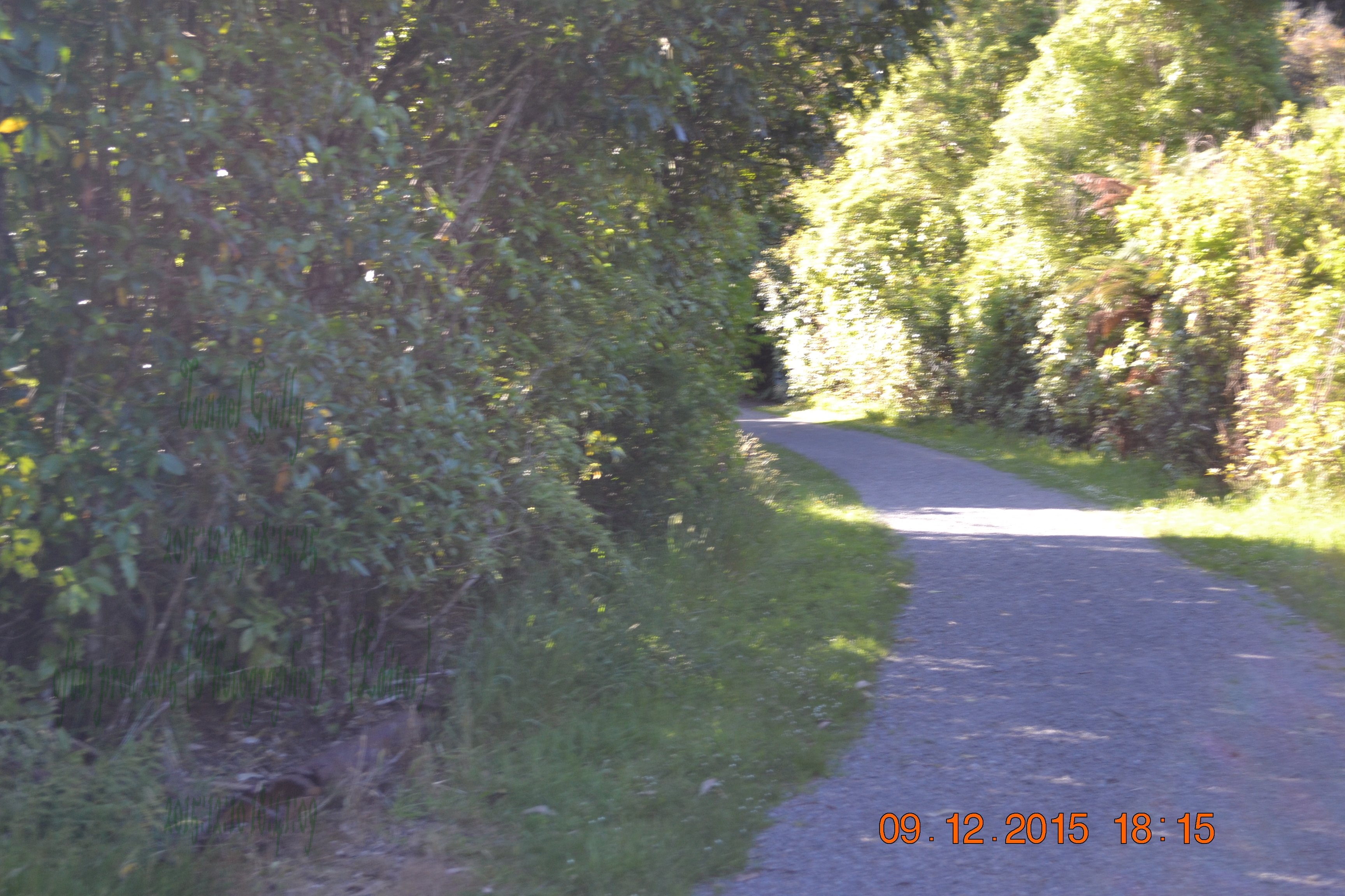 tunnelgully2015dec_201_wm.jpg