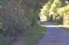tunnelgully2015dec_201_wm_small.jpg