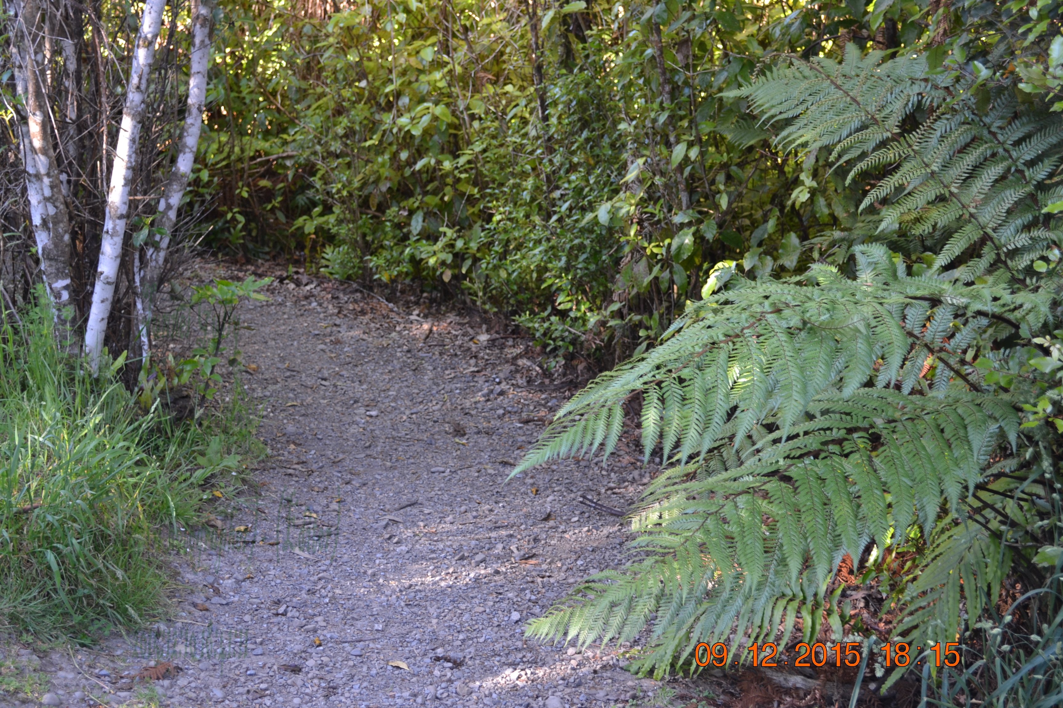tunnelgully2015dec_205_wm.jpg