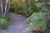 tunnelgully2015dec_205_wm_small.jpg