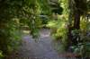 tunnelgully2015dec_206_wm_small.jpg