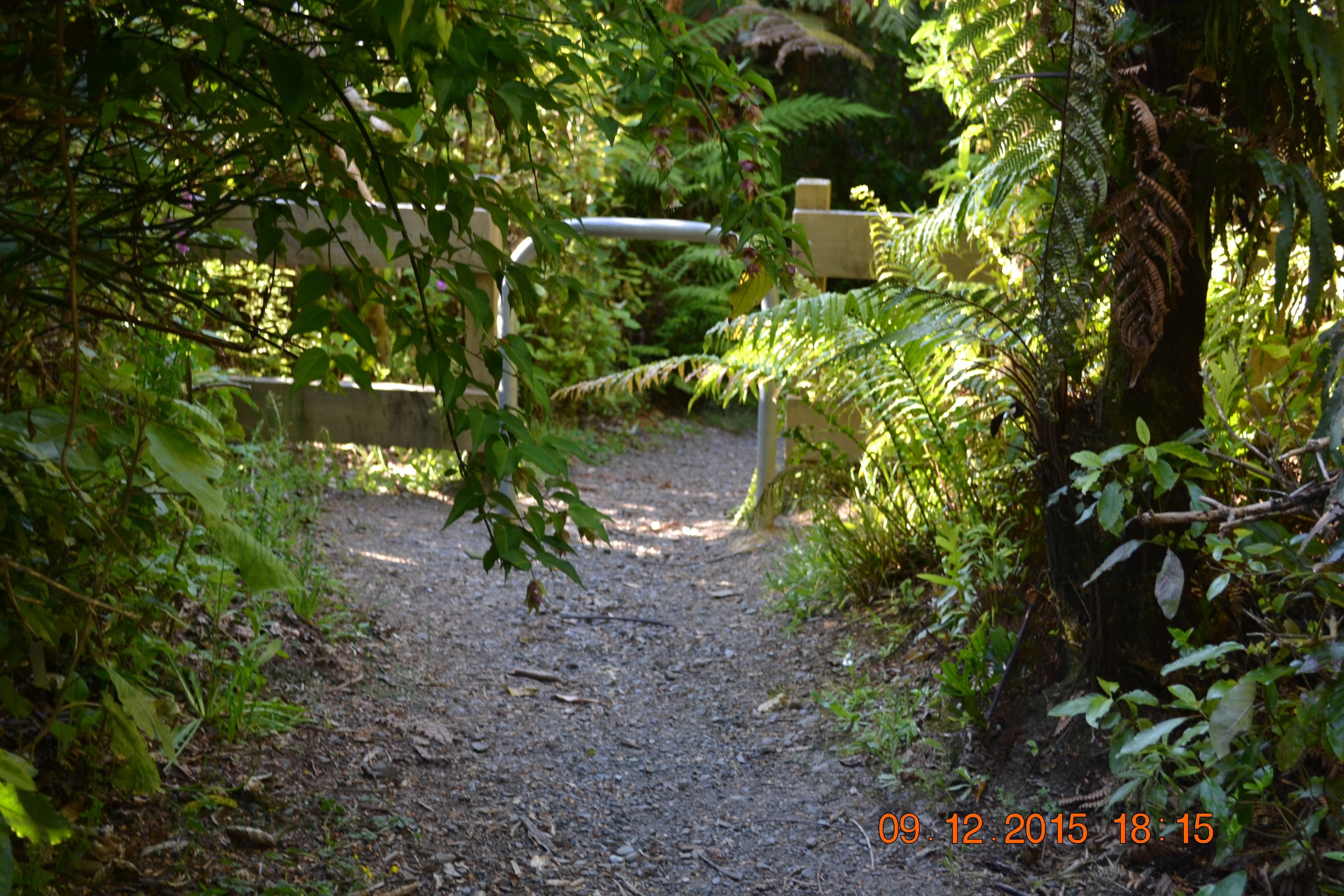 tunnelgully2015dec_207_wm.jpg