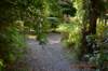 tunnelgully2015dec_207_wm_small.jpg