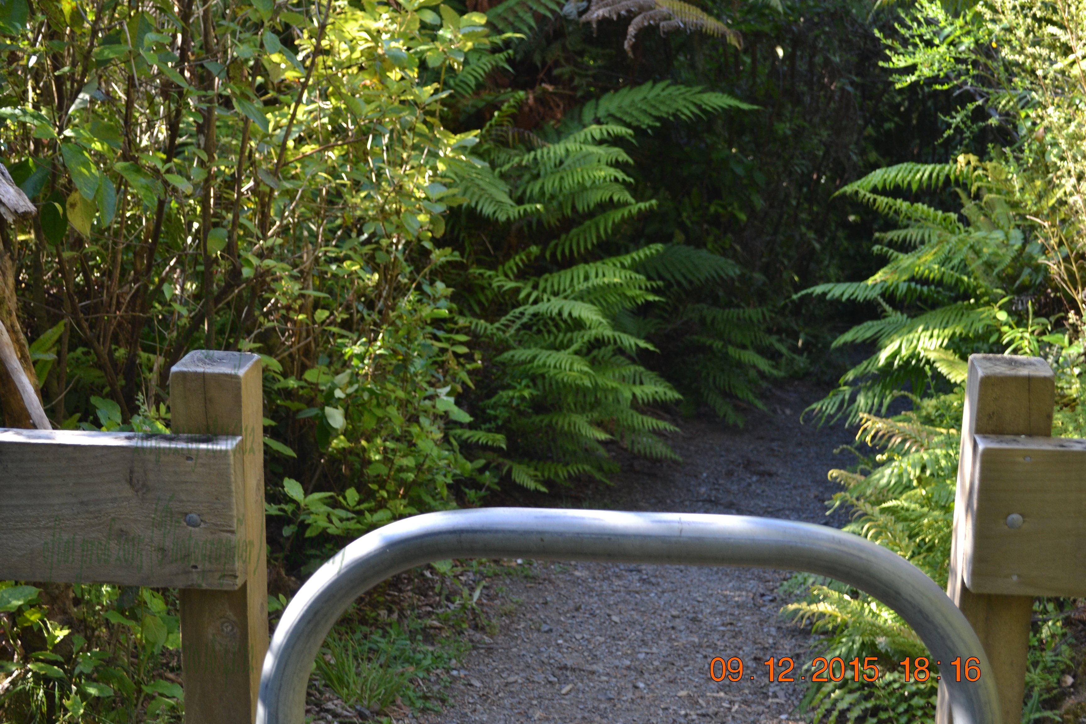 tunnelgully2015dec_208_wm.jpg