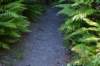 tunnelgully2015dec_212_wm_small.jpg