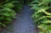tunnelgully2015dec_213_wm_small.jpg