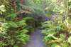 tunnelgully2015dec_214_wm_small.jpg