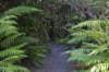 tunnelgully2015dec_216_wm_small.jpg