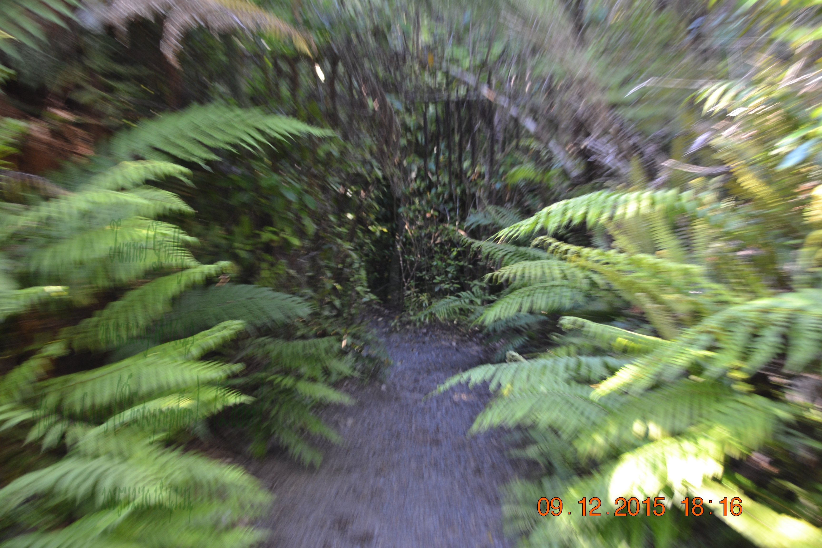 tunnelgully2015dec_217_wm.jpg