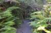 tunnelgully2015dec_217_wm_small.jpg