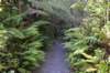 tunnelgully2015dec_218_wm_small.jpg
