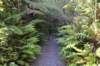 tunnelgully2015dec_219_wm_small.jpg