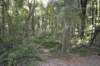 tunnelgully2015dec_21_wm_small.jpg
