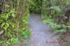 tunnelgully2015dec_220_wm_small.jpg
