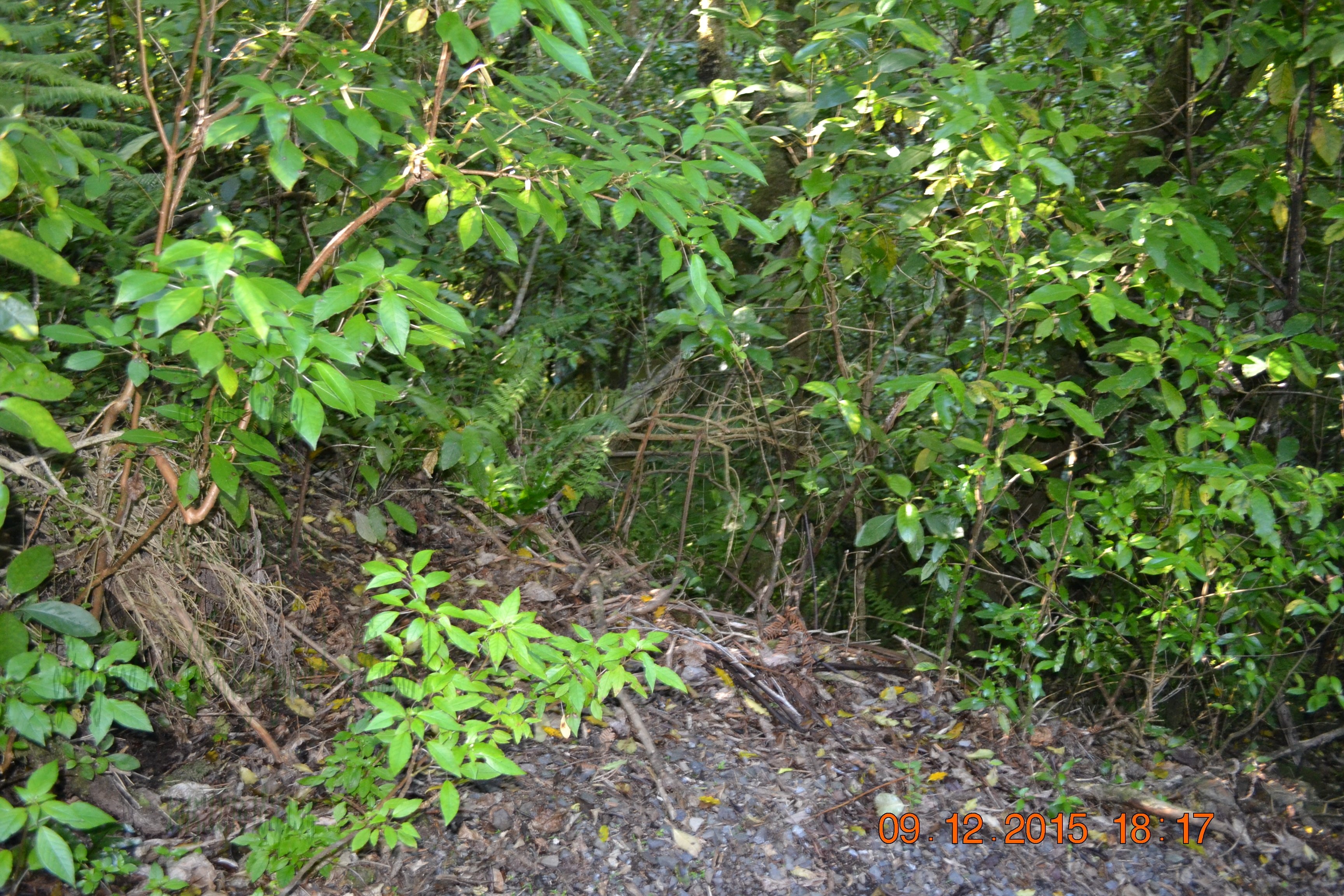 tunnelgully2015dec_221_wm.jpg