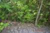 tunnelgully2015dec_222_wm_small.jpg
