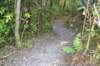 tunnelgully2015dec_224_wm_small.jpg