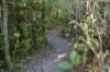 tunnelgully2015dec_225_wm_small.jpg